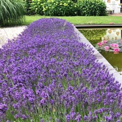 63f7afd0-729b-48c7-b482-48e3b19cb035