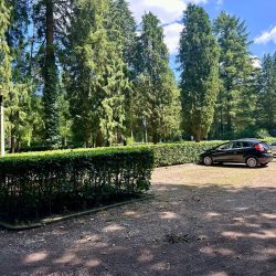 777d167b-a735-46a3-8879-31ad86014ba7